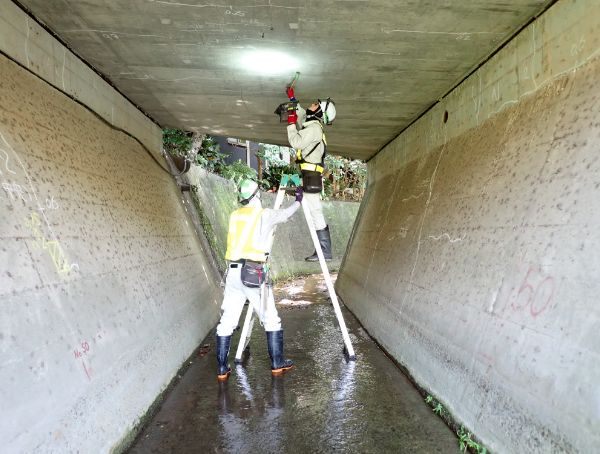 午前の作業開始